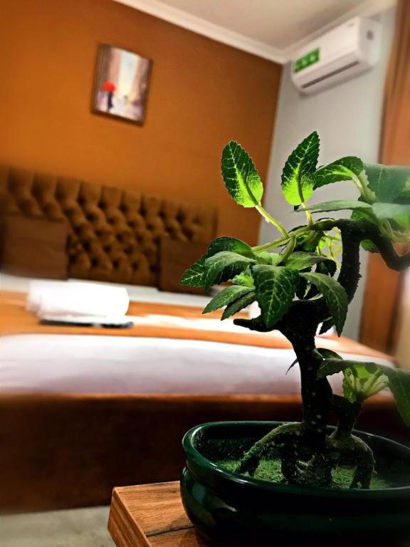 Geo Hotel Тбілісі Екстер'єр фото